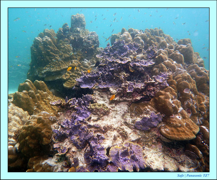 2011 - 07 - Koh Lipe 76
